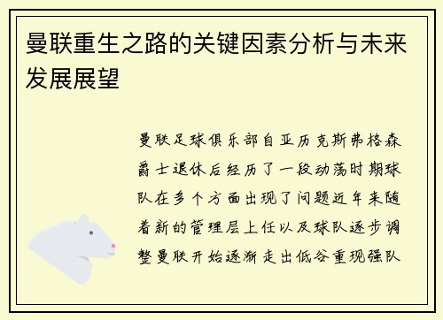 曼联重生之路的关键因素分析与未来发展展望