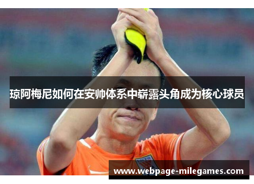 琼阿梅尼如何在安帅体系中崭露头角成为核心球员