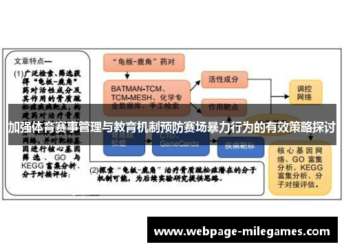 加强体育赛事管理与教育机制预防赛场暴力行为的有效策略探讨