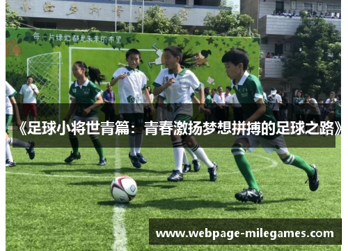 《足球小将世青篇：青春激扬梦想拼搏的足球之路》